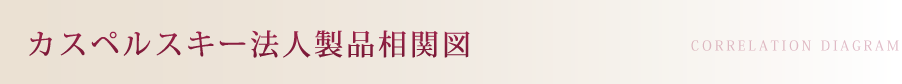 カスペルスキー法人製品相関図